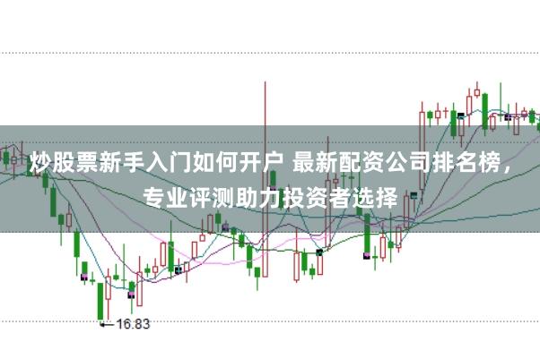 炒股票新手入门如何开户 最新配资公司排名榜，专业评测助力投资者选择
